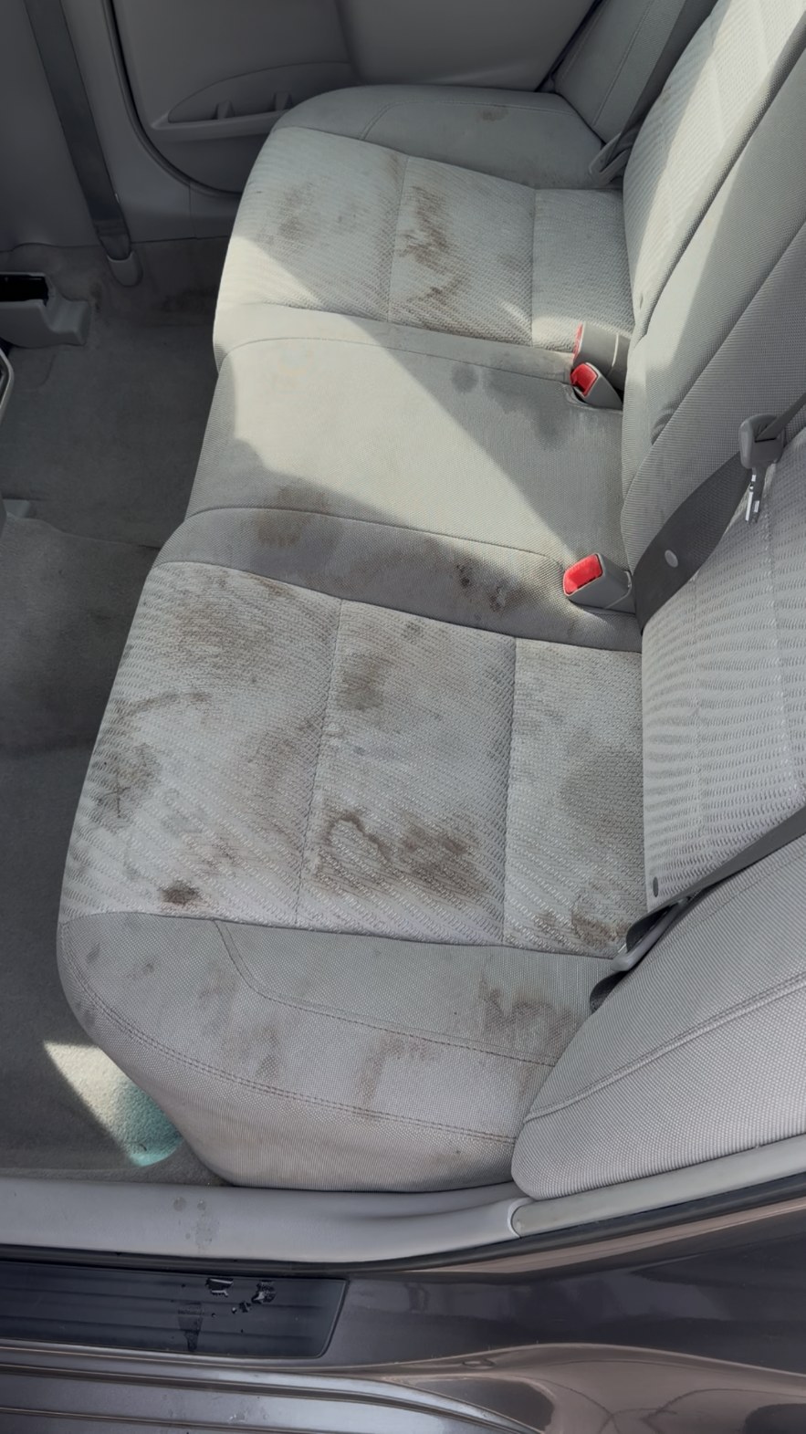 Rear seat refresh before detailing