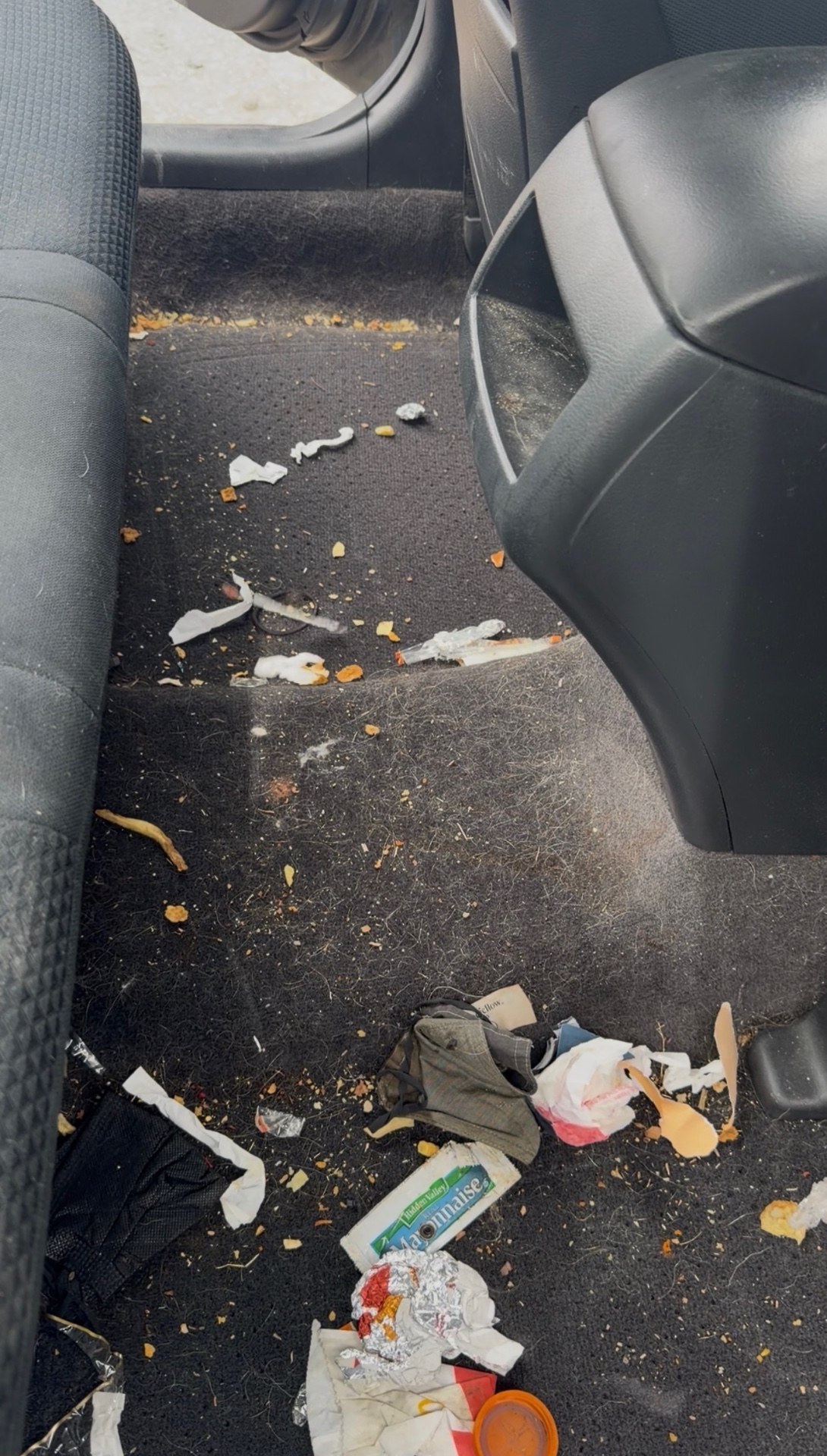 Carpet reset before detailing